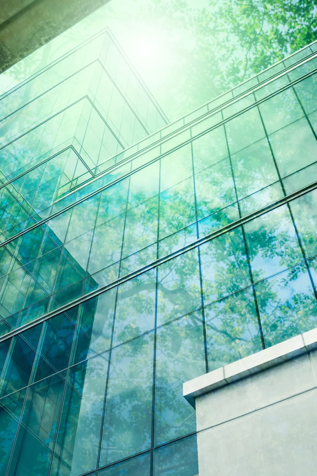 Glass tower reflecting a green canopy