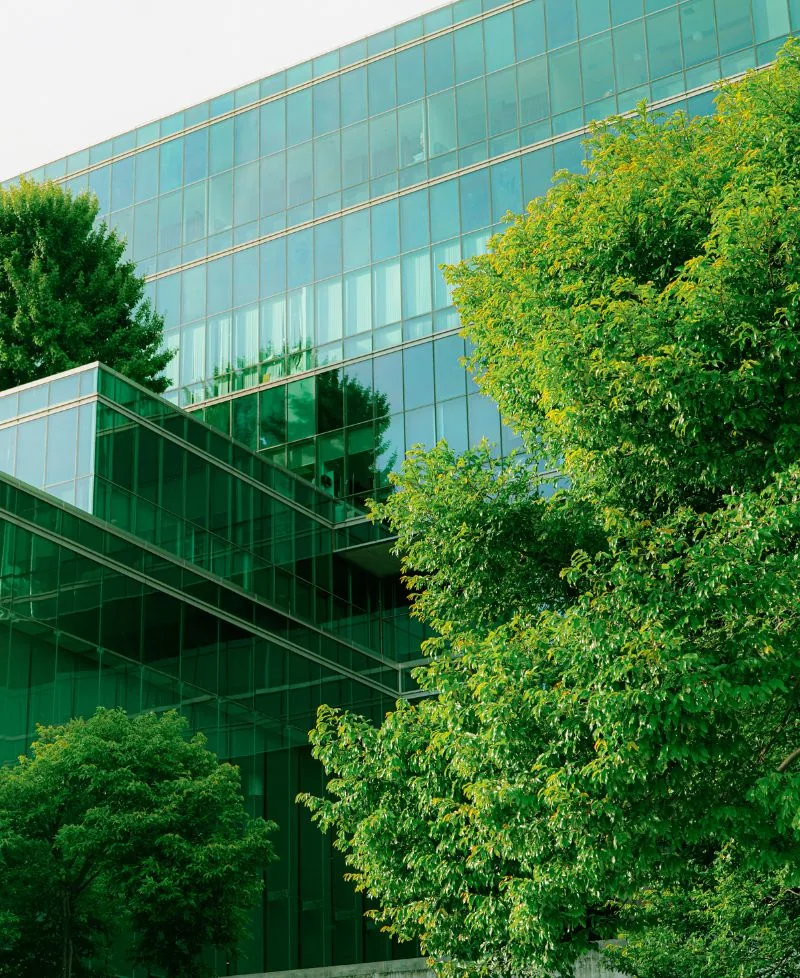 Office building framed by trees